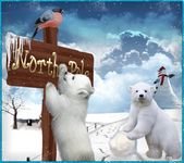 pic for polar bears 